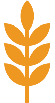 leaf icon