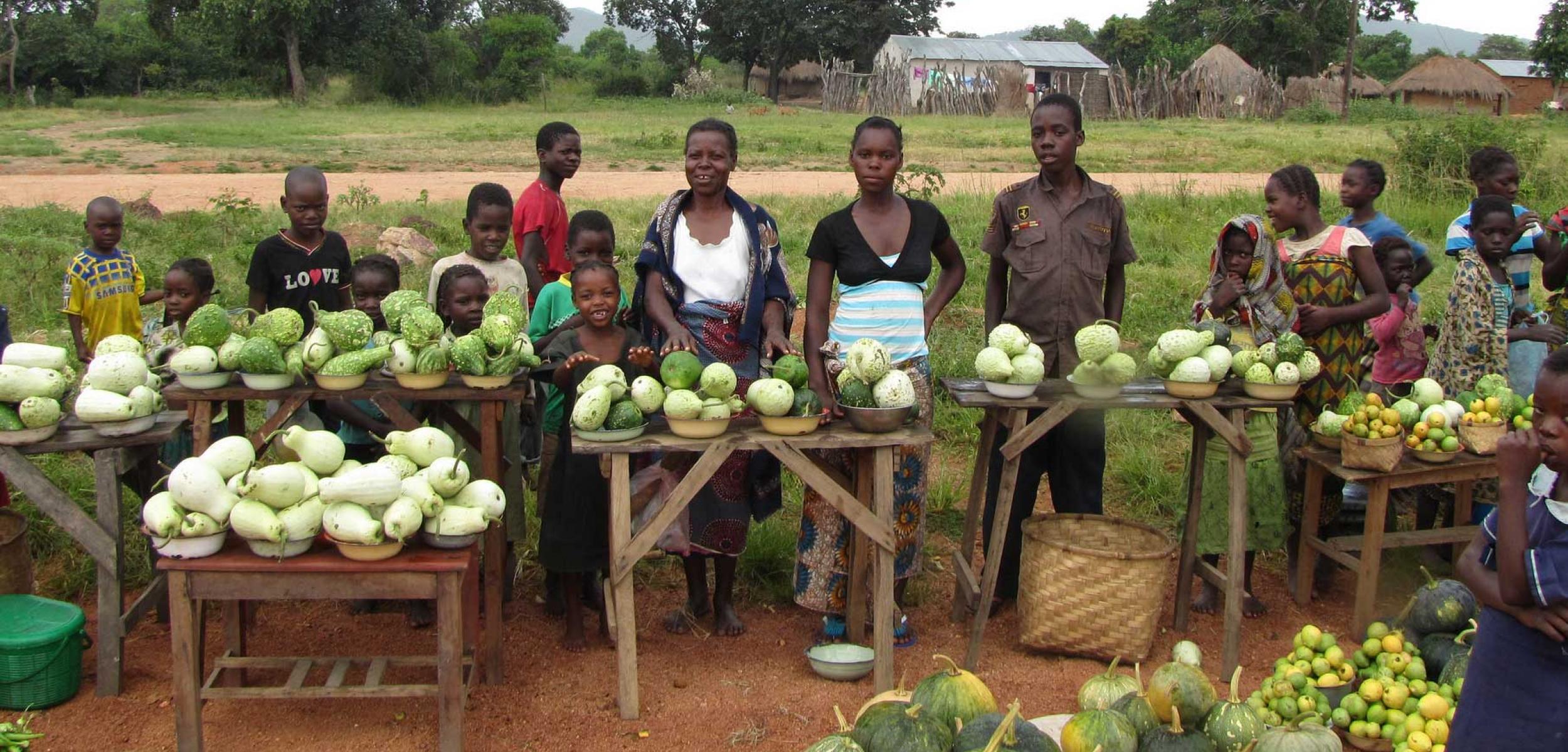 default banner photo - people with produce